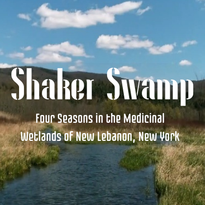 2026 May Ecofilm: Shaker Swamp - logo