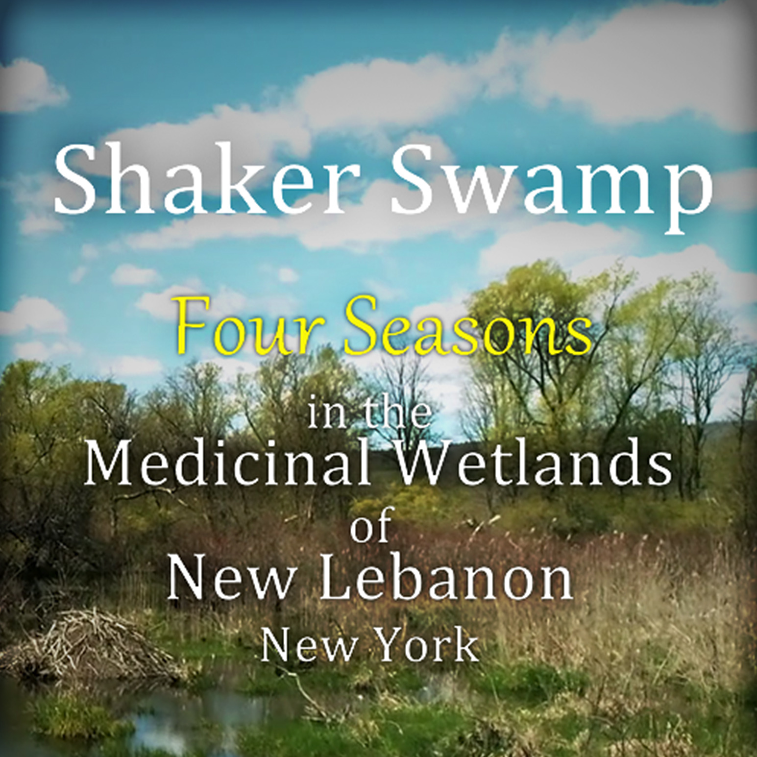 2026 May Ecofilm: Shaker Swamp - logo